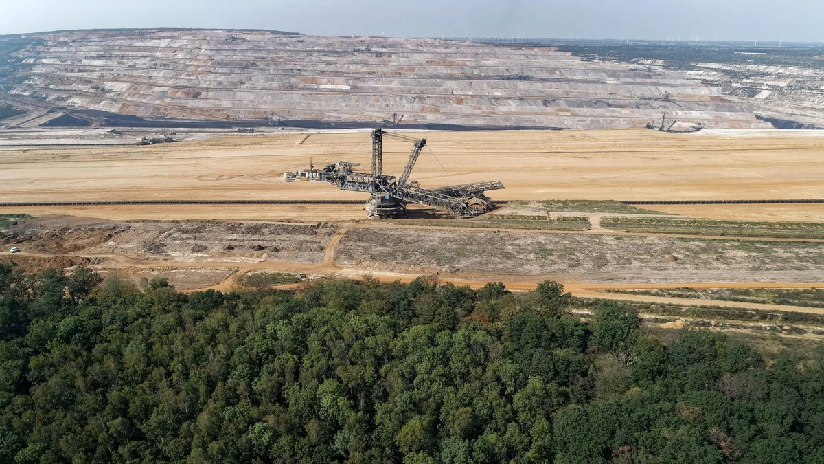 Hambacher Forst wird unter Naturschutz gestellt