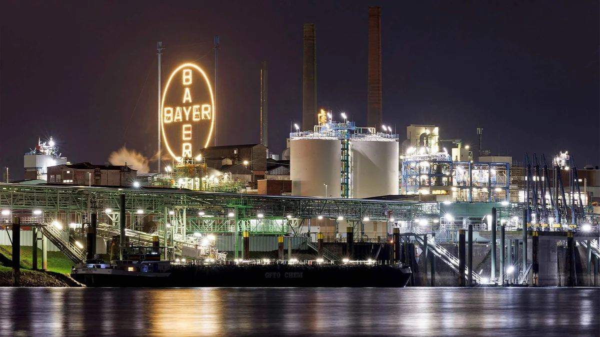 Kurserholung: Bayer-Aktie schafft es an die DAX-Spitze