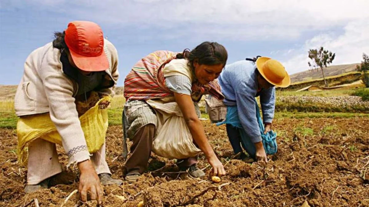 Beneficiarios de la deuda agraria: ¿A quiénes les corresponde exigir el pago al Estado?