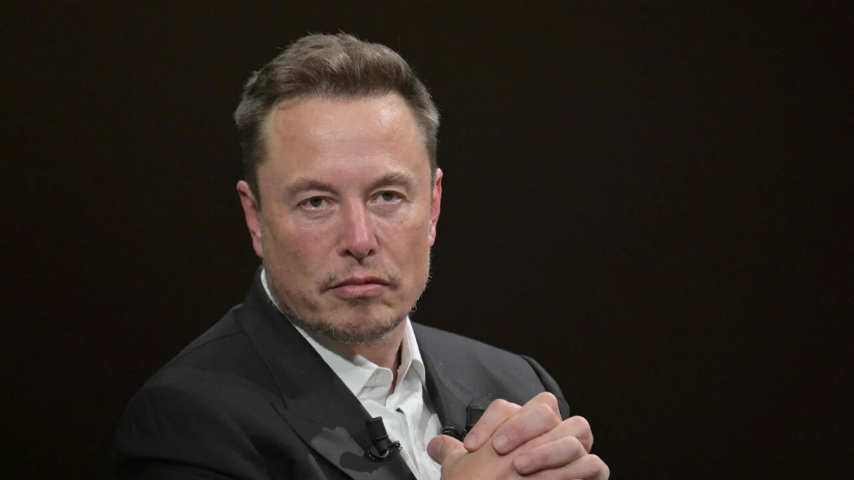 Musk difende Roggero: 'E' follia, giudice e pm dovrebbero essere condannati'