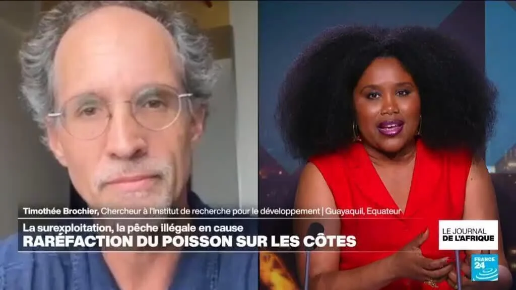 Focus JTA Pêche en Afrique de l’Ouest : pourquoi les stocks de poissons s’effondrent-ils ?