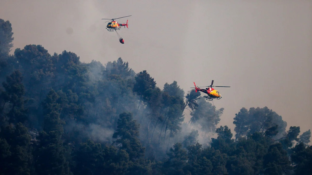 Cómo reconocer los incendios forestales en España y cómo reaccionar en cada caso: niveles de emergencia, fases y clasificación por tamaño