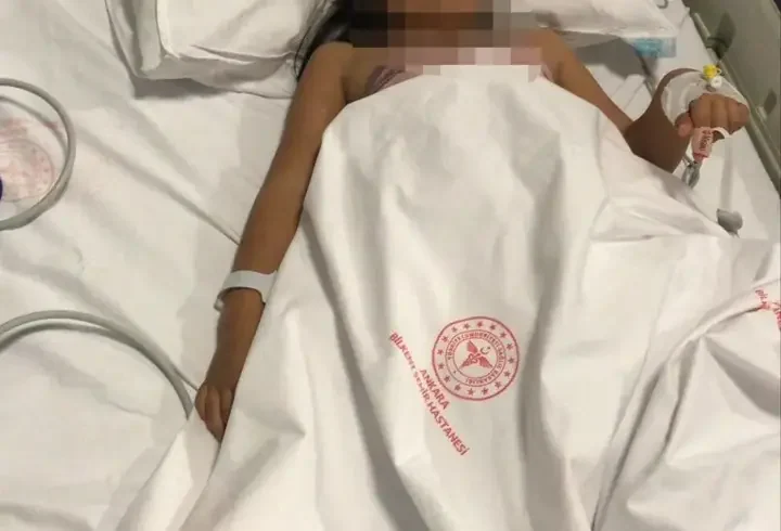 Ankara'da 2 kardeşe saldırıp yaralayan pitbullun sahibi tahliye edildi