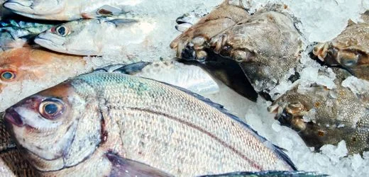 Thunfisch, Lachs, Zander: Mit diesen Experten-Tipps wird Fisch zum Genuss