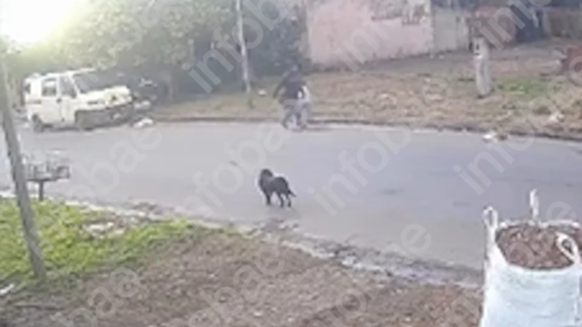 Las imágenes de la fuga del femicida de Junín: el momento en que secuestró a la nena y el operativo que terminó con su detención