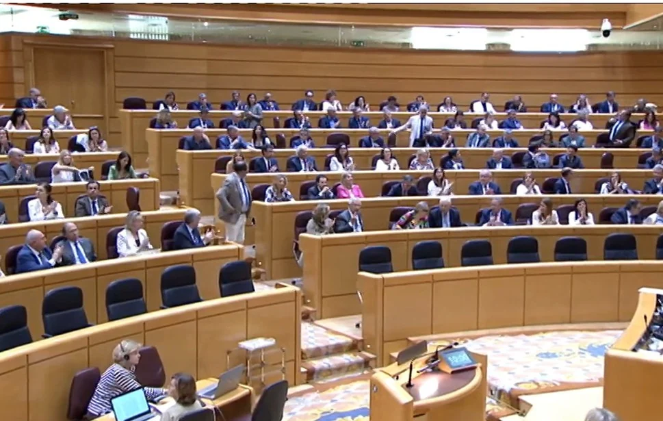 El Senado urge a que se otorgue a la prevención del suicidio la "prioridad que merece", más inversión y recursos: "Quien sufre no puede esperar"