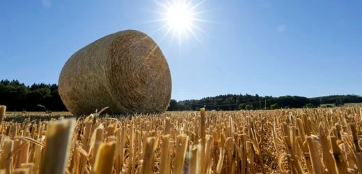 Hitze in Deutschland: Temperaturen können erneut auf 35 Grad steigen