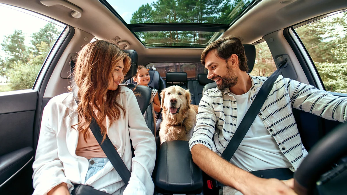 La Lonely Planet pet friendly, 20 esperienze top in Italia da fare con il cane
