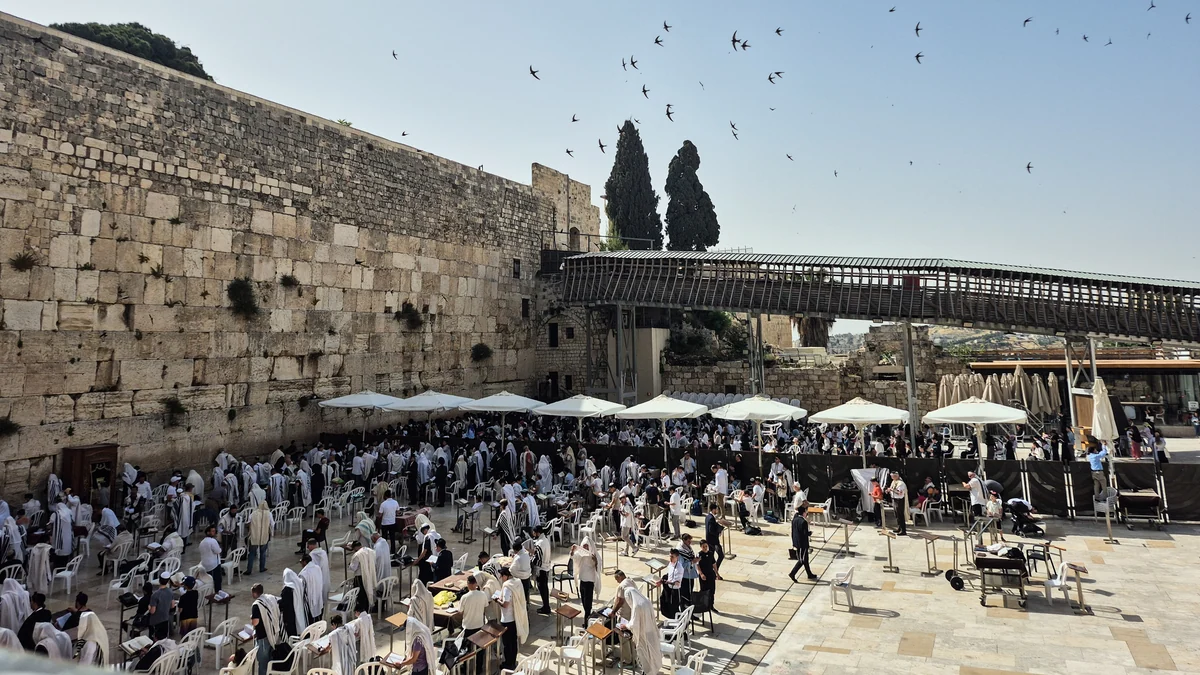 An Israeli paraglider tries to save migrating swifts that nest in the Western Wall