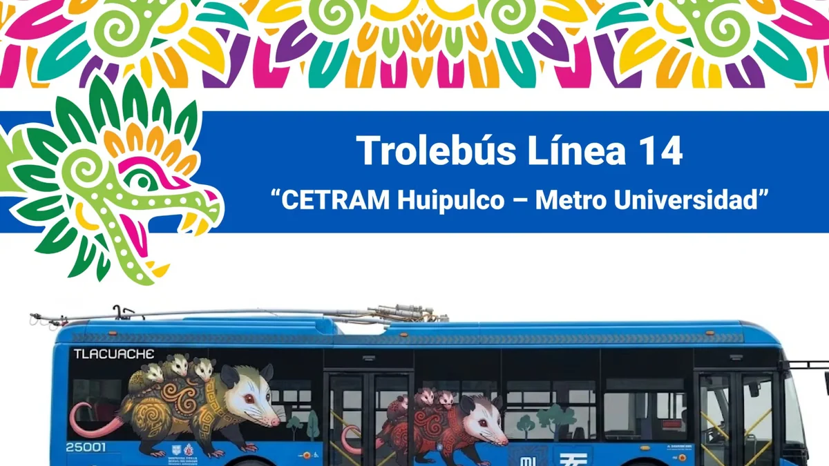Conoce los nuevos Trolebuses de CDMX: así son las unidades eléctricas que modernizan el transporte público