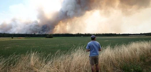Paris: Verdacht auf Brandstiftung bei Waldbrand