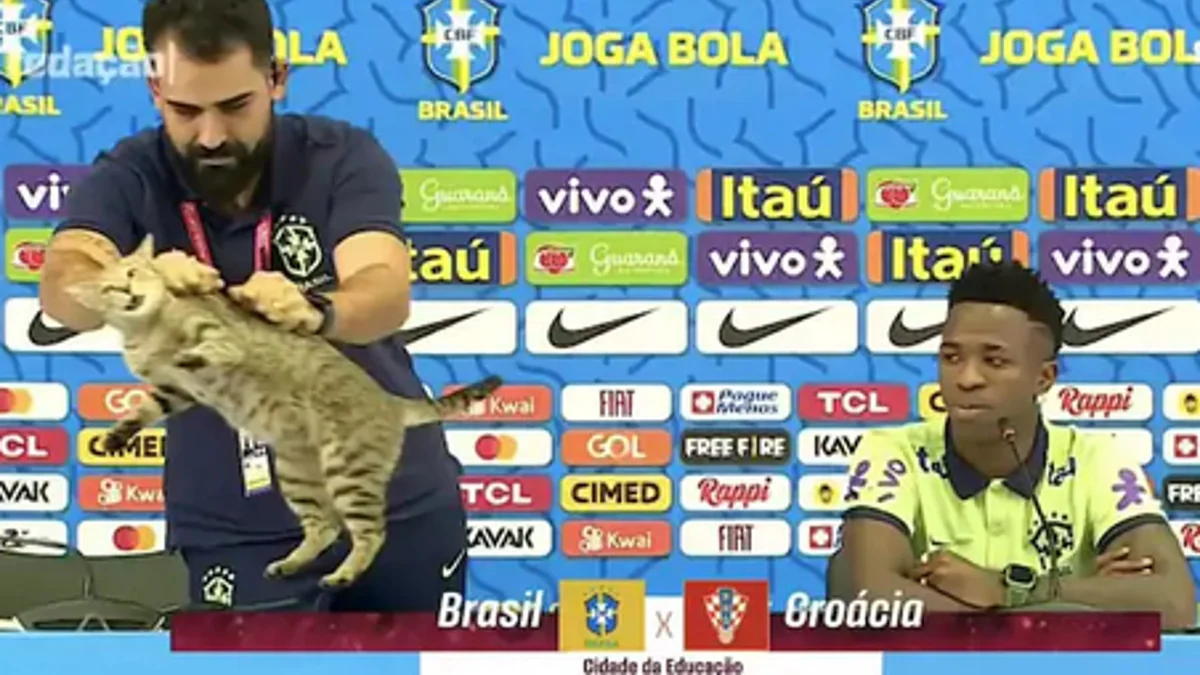 La maledizione del gatto dietro il flop di Ancelotti al Mondiale: i brasiliani ci credono