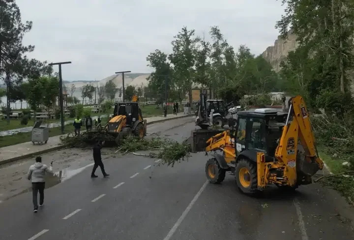 Şanlıurfa'da fırtınada devrilen ağaçlar kaldırılıyor