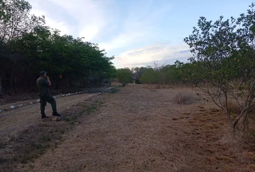 Impulsan en Panamá la conservación de los suelos como base para la seguridad hídrica