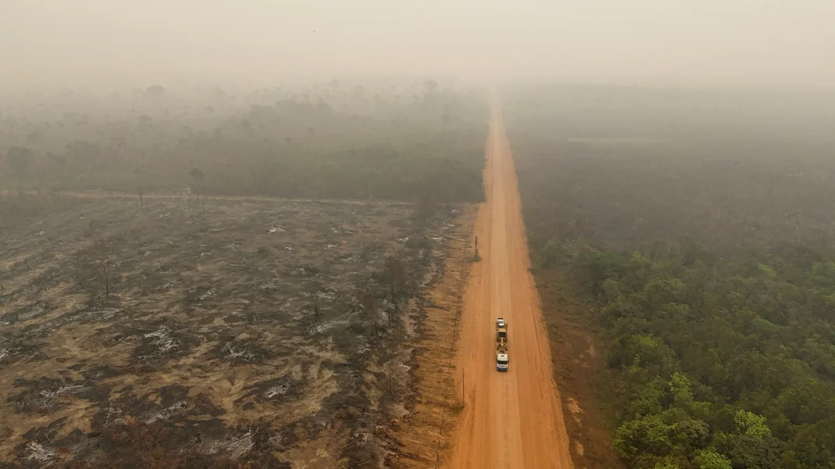 Record de température en 2026, «un fort El Niño», plus de feux de forêts… Ces phénomènes qui préoccupent les scientifiques et les experts du climat