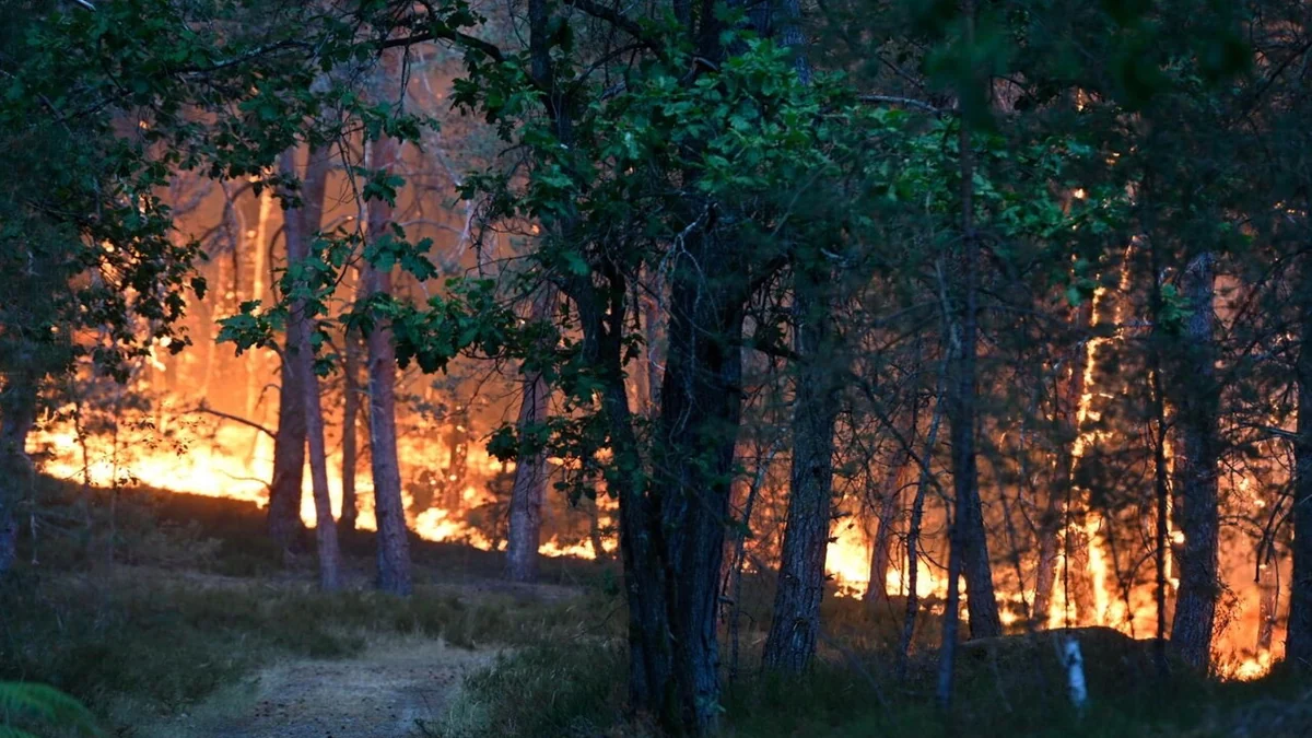 L'ondata di calore si estende in tutta Europa, ancora incendi e vittime. L'Italia nella traiettoria dell'anticiclone