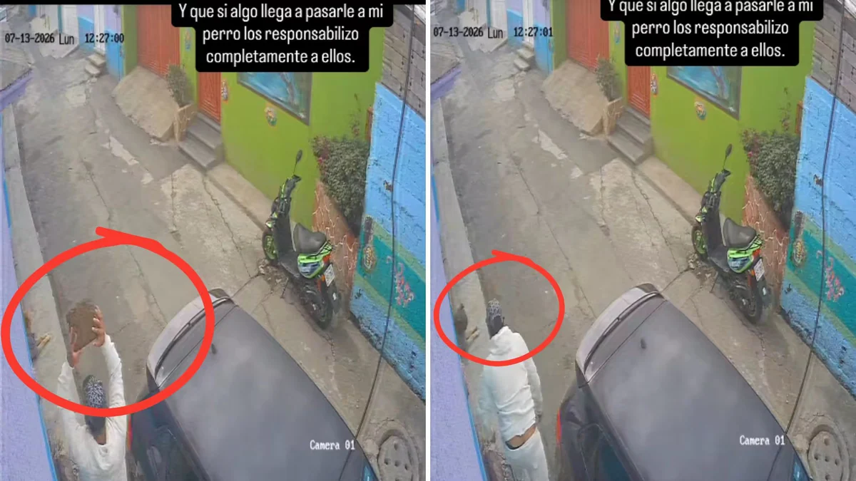 Captan en video presunta agresión contra un perro en Xochimilco; dueño busca fortalecer denuncia