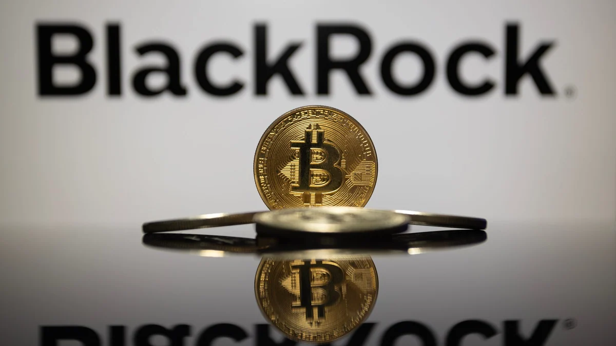 40 Prozent im Minus: BlackRock-Anleger bluten