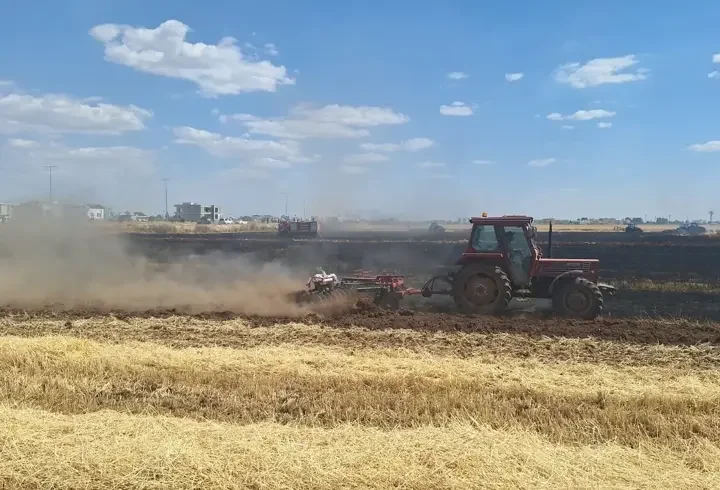Mardin’de buğday tarlasında yangın