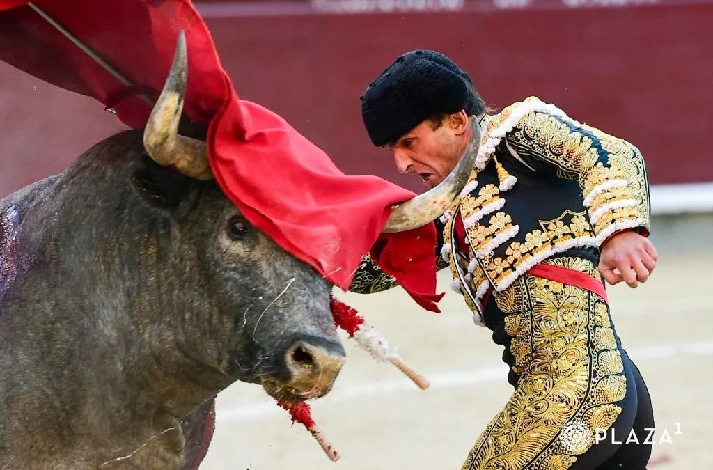 La crudísima guerra de Damián Castaño con un temible toro de Escolar en Las Ventas