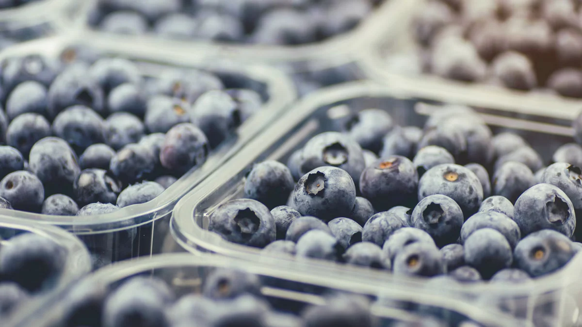 Retiran blueberries GreenWise de Publix por posible contaminación con Escherichia coli: qué lotes revisar
