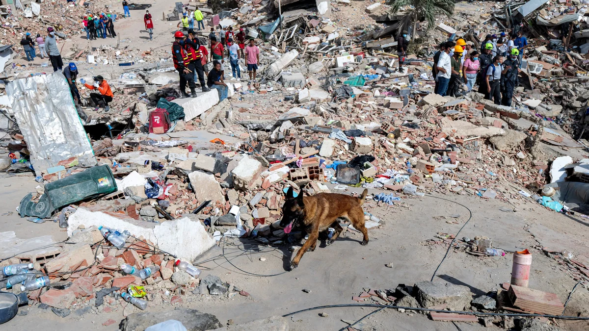 Terremotos en Venezuela: los rescatistas no hallan señales de vida del niño Fabio en Caraballeda