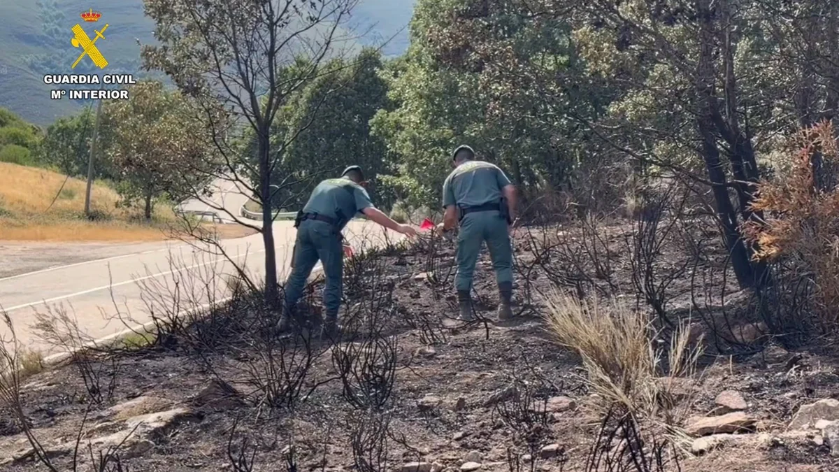 Detenido un hombre e investigado otro por presuntamente provocar 15 incendios en la provincia de Zamora