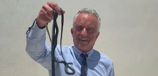 Robert F. Kennedy Jr.: US-Gesundheitsminister lässt sich beim Schlangen-Fangen filmen