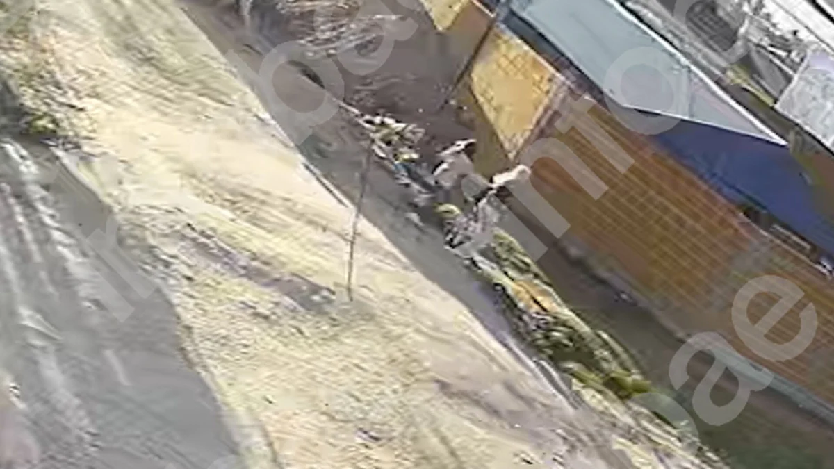 El video de un brutal crimen narco en La Matanza: mataron a una chica de 14 años y balearon a su abuela