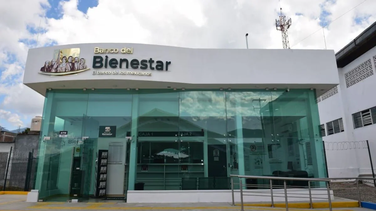 Programas del Bienestar 2026: confirman registro en agosto para jóvenes y recibir más de 9 mil pesos