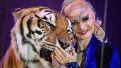 Escaped tiger shot by German police after attacking man
