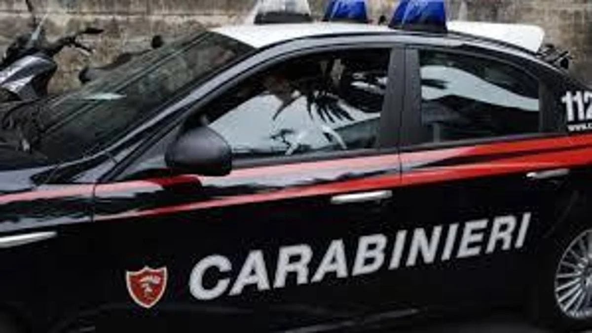 Venezia, professoressa uccisa il nipote 17enne confessa: “L’ho accoltellata e gettata nel canale”