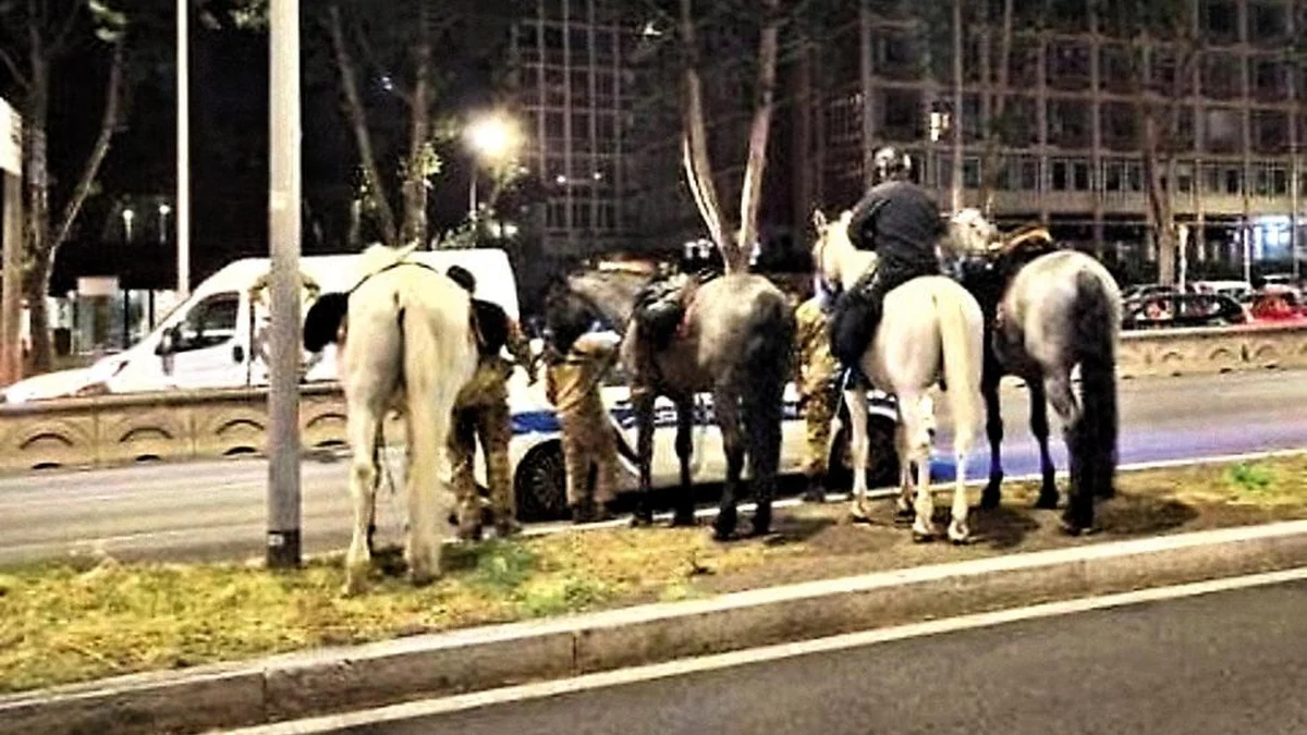 Cavalli in fuga sulla Colombo, l’audio choc della carabiniera: “Ero in sella, ho pensato di morire”