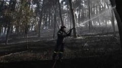 Firefighters struggle to contain deadly Greek wildfire