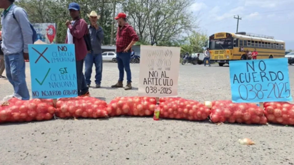 Productores de cebolla en Honduras anuncian nuevas protestas por incumplimiento de acuerdos sobre importaciones