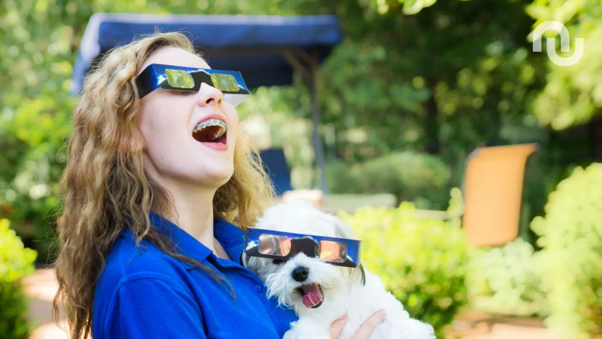 Lunettes éclipse solaire 2026 : où trouver des modèles certifiés ISO (pharmacie, opticien, Amazon) ?