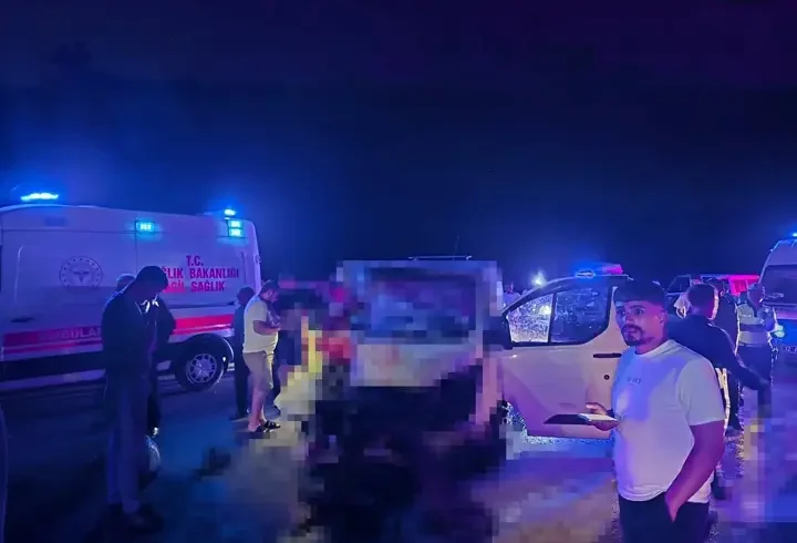 Minibüs, yola çıkan ata çarptı; 1 ölü, 2 yaralı