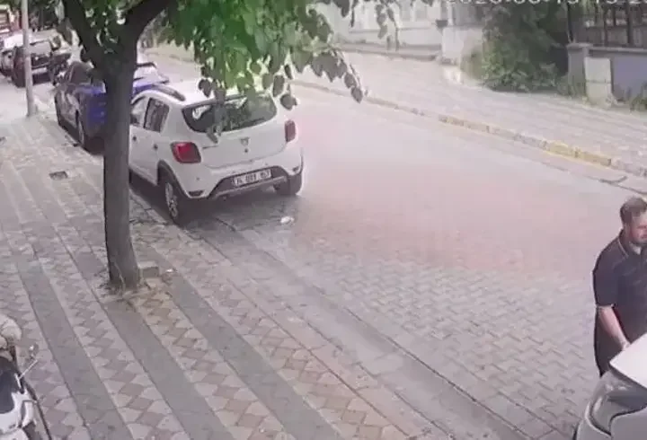 Sultangazi'de kaputun altından kuş, direksiyonun içinden kertenkele çıktı