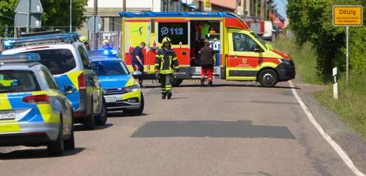 Dölzig bei Leipzig: Tierschützer fordern nach Ausbruch von Tiger ein Durchgreifen der Bundesregierung