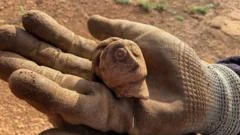 Dig site offers 'window' into Roman life