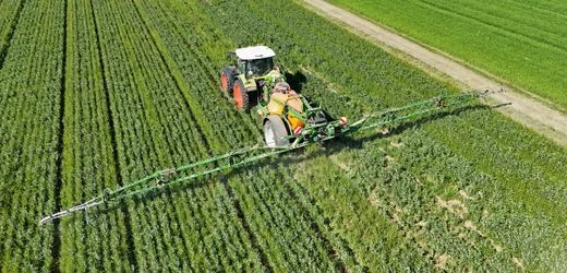Bayer gewinnt Glyphosat-Streit in den USA vor Supreme Court