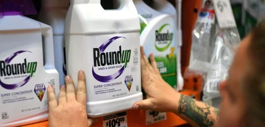 Glyphosat in Roundup: Wie das Supreme-Court-Urteil dem Bayer-Konzern und Donald Trump hilft