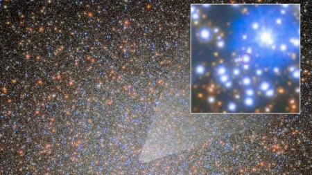 Noch 10.000 erwartet: Erstes stellares Schwarzes Loch in Omega Centauri gefunden