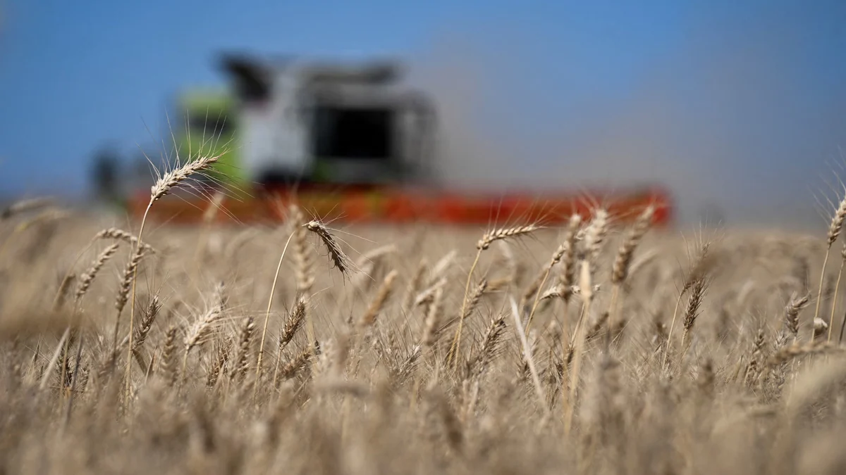 Baja de retenciones al agro: cuánto menos recaudará el Estado y cuánto ganará el productor