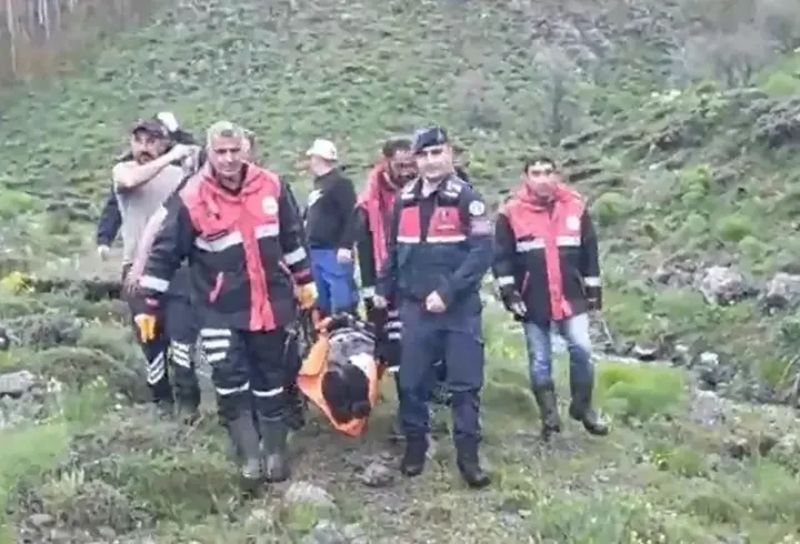 Mantar toplarken ayı saldırısında yaralandı