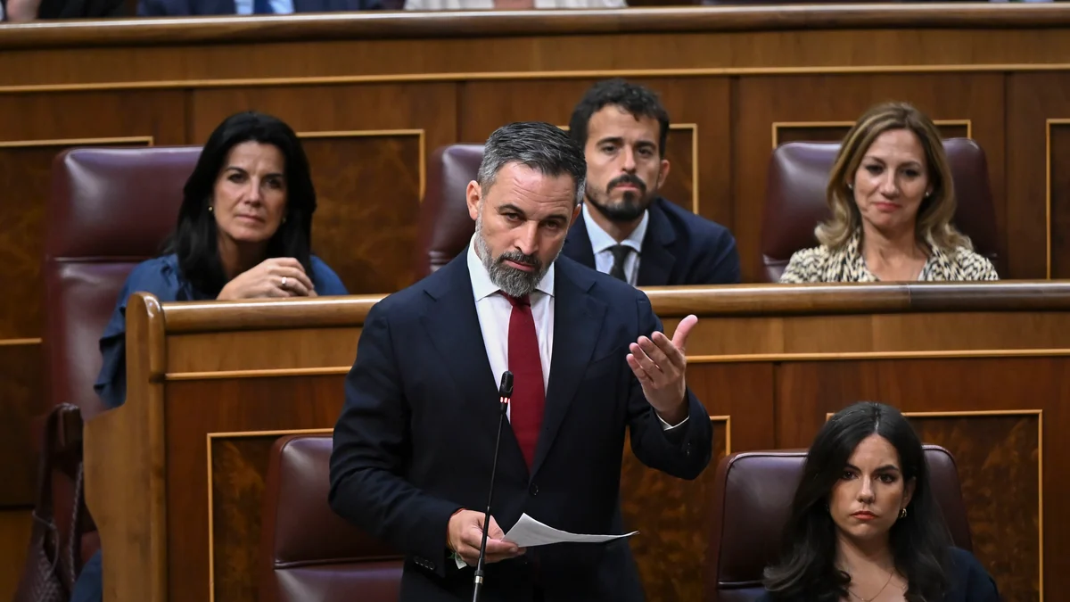 Vox engorda el flujo de dinero que denunciaban los críticos: ingresa casi un millón más de sus grupos parlamentarios y municipales