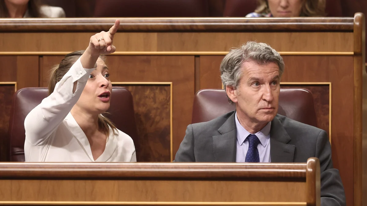 El Congreso abre la vía para impedir que un recurso paralice meses la eutanasia