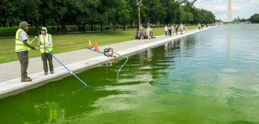 USA: Blauer Pool von Donald Trump in Washington ist schon wieder grün