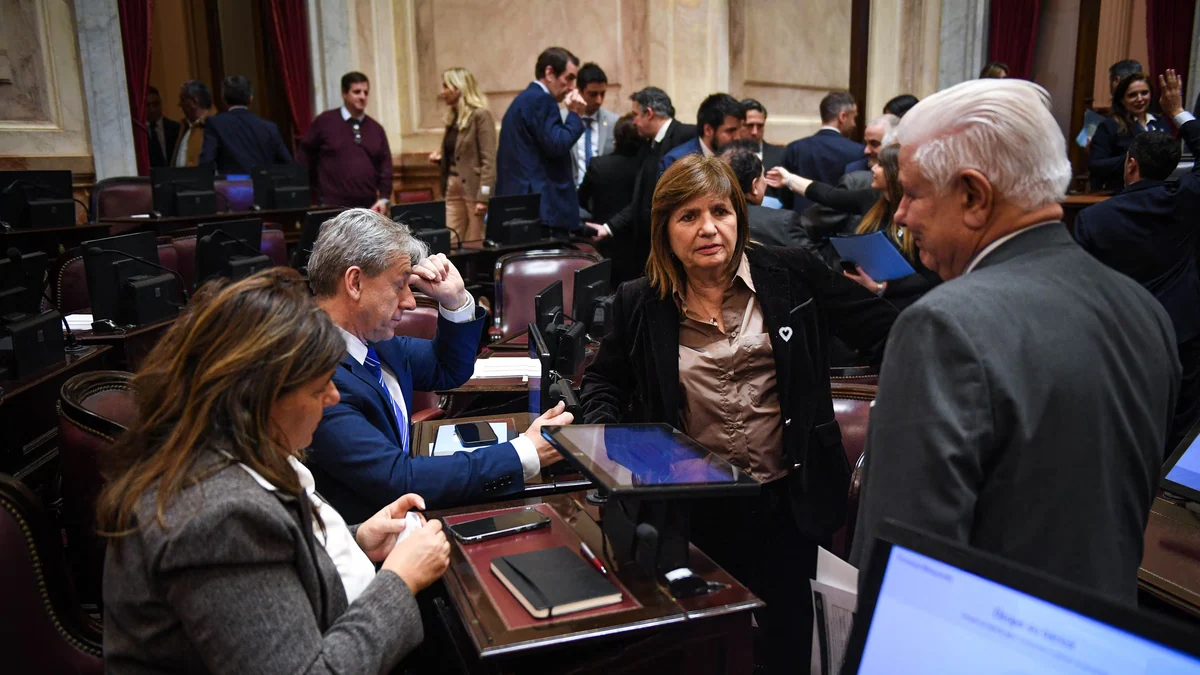 Una sesión en cuarto intermedio y leyes frenadas: la desafiante agenda del Senado hasta fin de año