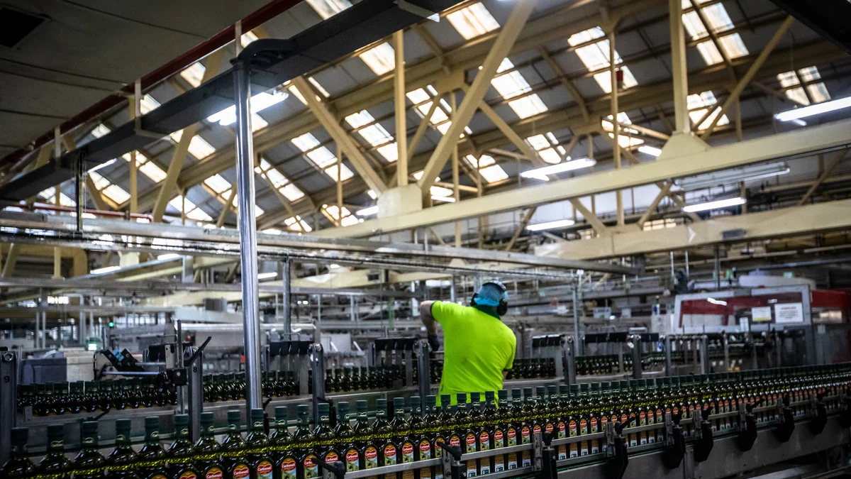El gigante español del aceite de oliva vuelve al escaparate (financiero)